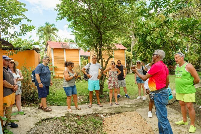 City Tour & Half-Day Safari Experiences - Price and value: what $45 buys you in the real DR