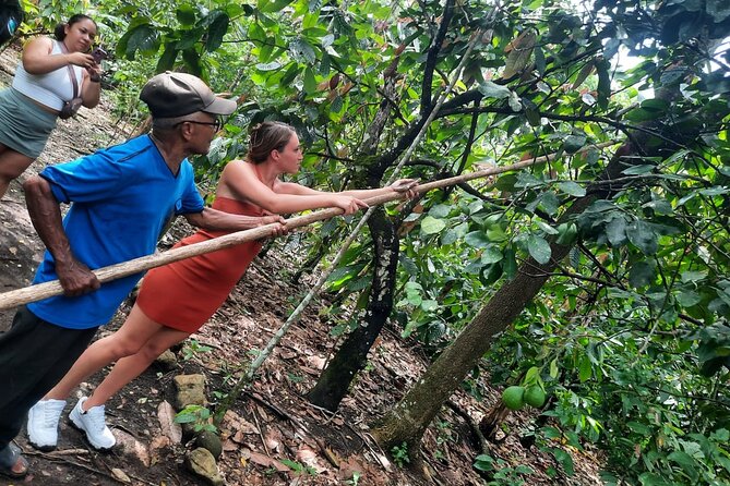 Cocoa & Artisan Chocolate Route with an Historical Tour in Puerto Plata City - Quick highlights