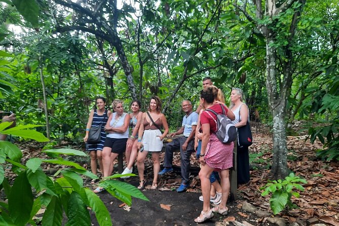 Cocoa & Artisan Chocolate Route with an Historical Tour in Puerto Plata City - Cocoa to Chocolate in Puerto Plata: A Day That Connects the Dots