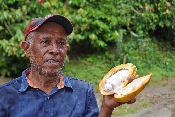 Cocoa & Artisan Chocolate Route with an Historical Tour in Puerto Plata City - Puerto Plata Historic Center: Amber Museum, Pink Street, Umbrella Street, and Cathedral