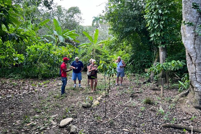 Cocoa & Artisan Chocolate Route with an Historical Tour in Puerto Plata City - Price and Value: Is $98 Worth It?