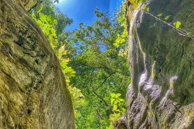 Damajagua The 7 waterfalls excursion - Amber Cove & Taino bay - Value for the $54 Price: What You Get and What to Watch For