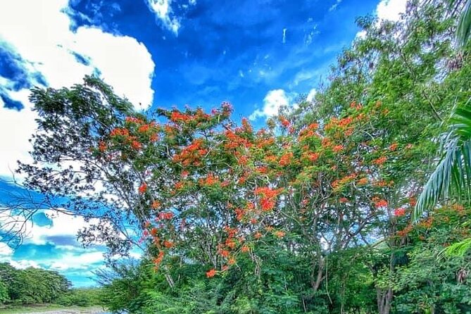 Damajagua The 7 waterfalls excursion - Amber Cove & Taino bay - Who This Tour Fits Best (and Who Should Skip It)