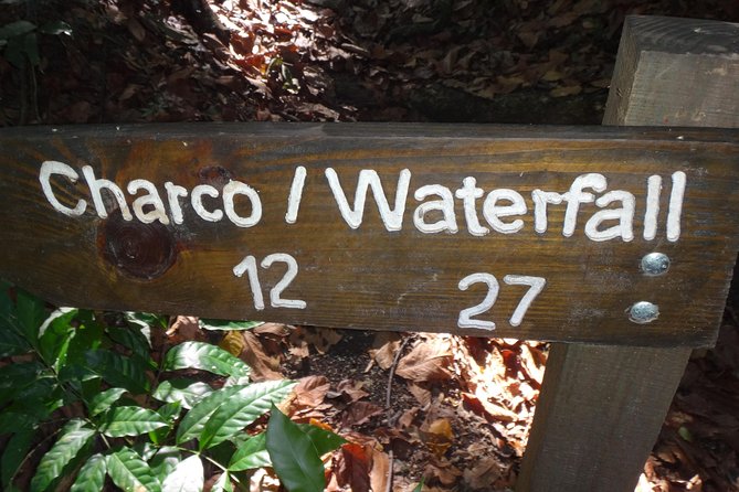 Damajagua Waterfalls for Cruise Ship Passengers - Price and Value for a Cruise Day at $89