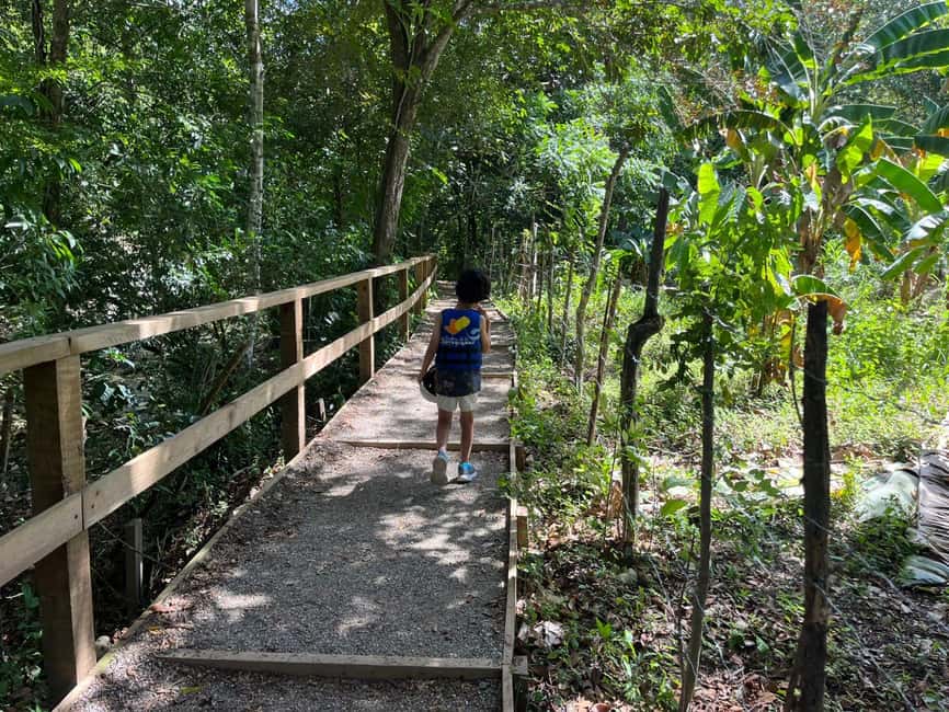 Damajagua Waterfalls Tour with Lunch - Water fun at Damajagua: natural pools, slides, jumps, and cave swimming