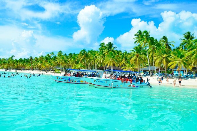 Day Trip to Saona Island with Lunch and Open Bar - Key highlights at a glance