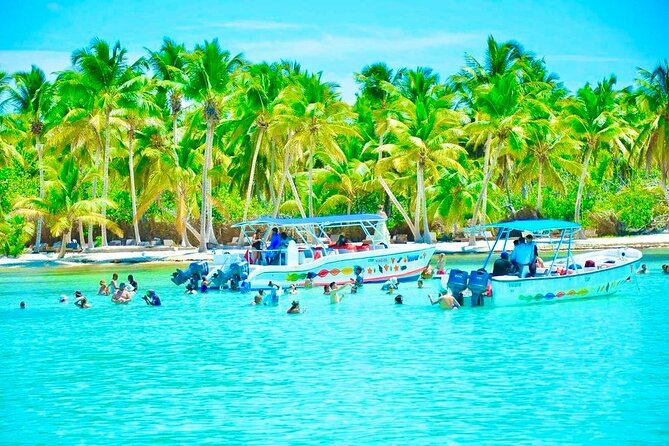 Day Trip to Saona Island with Lunch and Open Bar - Getting to Saona From Punta Cana: Time, Transfers, and What $85 Really Buys
