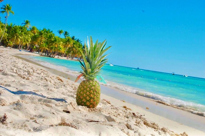 Day Trip to Saona Island with Lunch and Open Bar - Value for $85: Boats, Lunch, and Park Entrance Make or Break the Deal