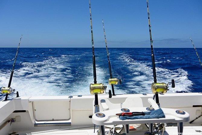 Deep Sea Fishing Tour - The Main Event at Cabeza de Toro Beach: About 4 Hours of Fishing Time