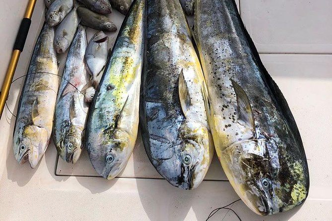 Deep Sea Fishing Tour - Gear Included, Comfort Taken Care Of: What You Should Expect Onboard