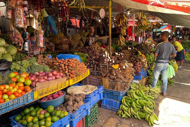 Discover Dominican life - Inside Anamuya: coconut oil, coffee and cacao, plus cigar rolling