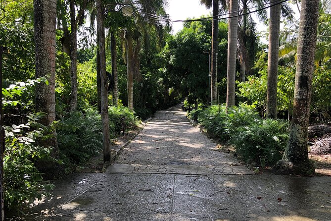 Discover Dominican life - Getting to Anamuya, and what the day feels like on the ground