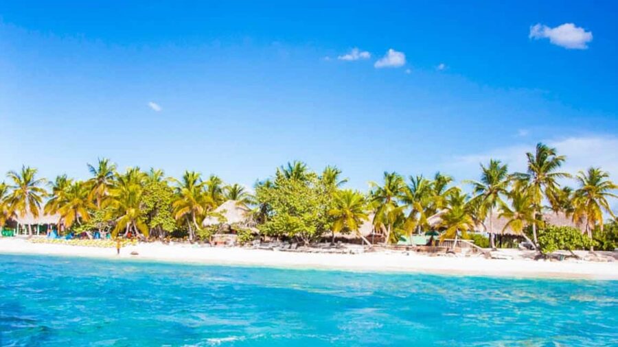 Discover Punta Cana: Full-Day Saona Island All Included - Getting There: Pickups, 85-Minute Coach Rides, and Real-Life Timing
