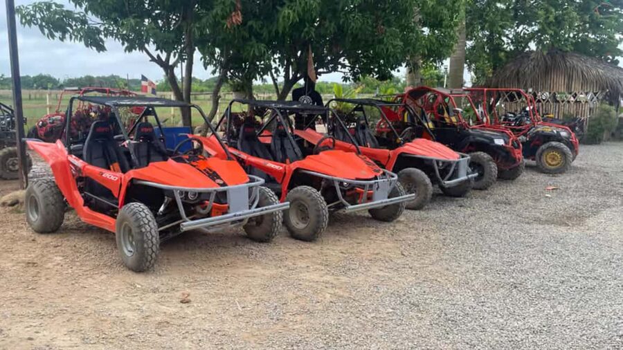 Discover Punta Cana Tour Buggy & ATV Tour Macao Beach Cenote - Who this tour fits best, and who might want a different day plan