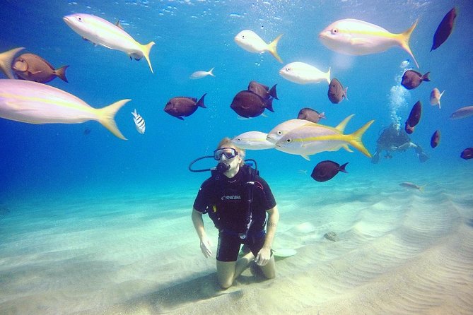 Discover Scuba Diving - Key things that make this first-time SCUBA session in Sosua special