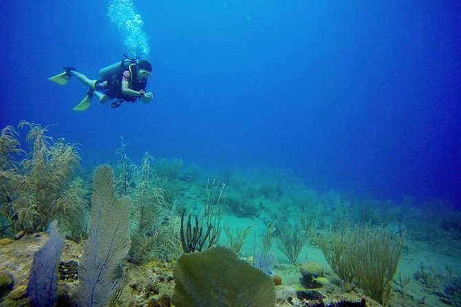 Discover Scuba Diving - How the 3-hour session flows, from briefing to boat Elena
