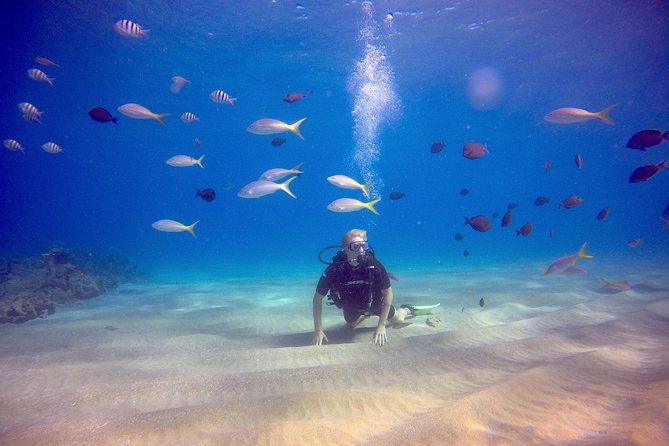 Discover Scuba Diving - Who should book this SCUBA trial (and who should pause)
