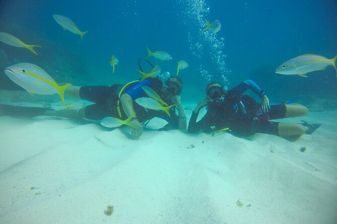 Discover Scuba Diving - DSD - The Guided Underwater Session: What You’ll Do at 12 Meters