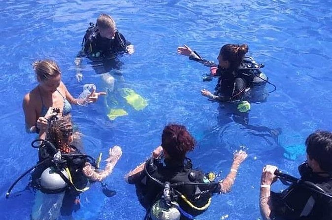 Discover Scuba Diving - DSD - What You’ll See: Shipwrecks, Reefs, and Underwater Life