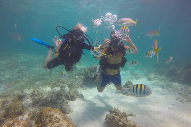 Discover Scuba Diving - DSD - Price and Value: Is $99 for DSD a Good Deal?