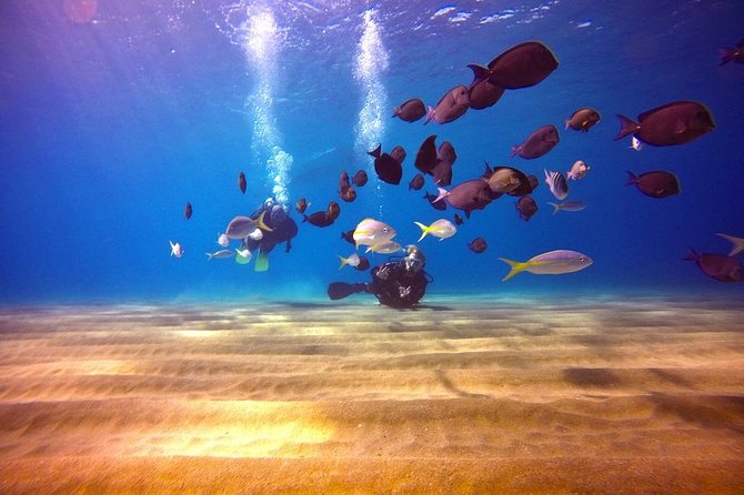 Discover Scuba Diving - Equipment, gear comfort, and what you get without extra fees