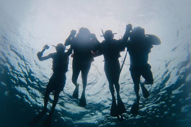 Discover Sosua's Underwater World & Beach Day - Pace, Safety, and the Coaching That Helps First-Timers
