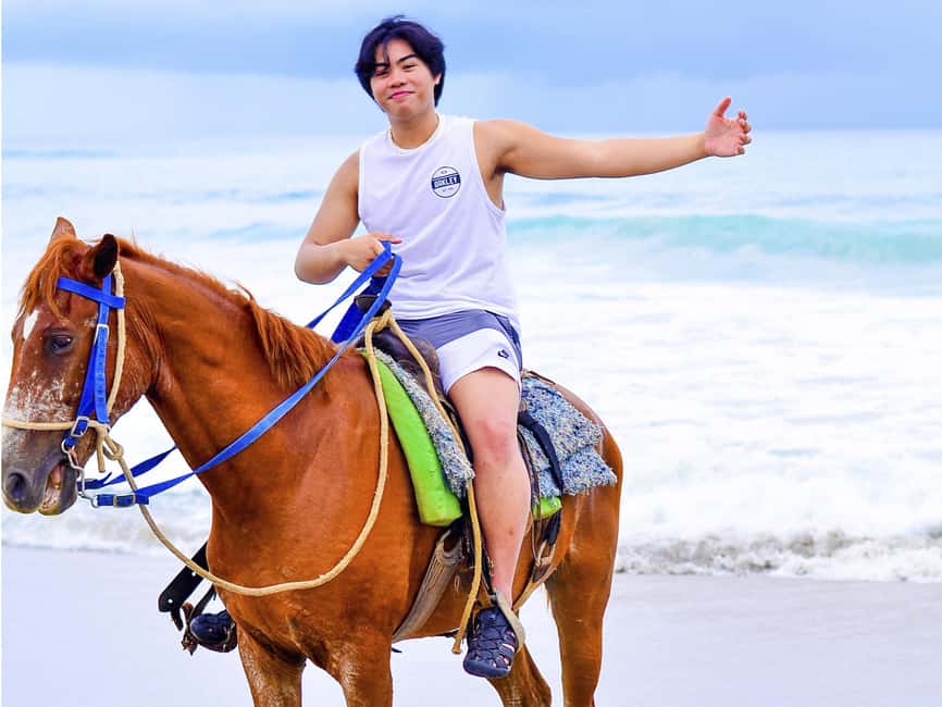 Discover the Trails of Punta Cana on a Horseback Ride - Price and Value: Is $40 a Fair Deal?