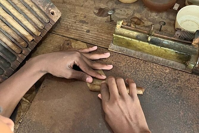 discovery and adventure of the local Dominican life in small group - The family cigar factory visit and Rum Barceló Gran Anero tasting
