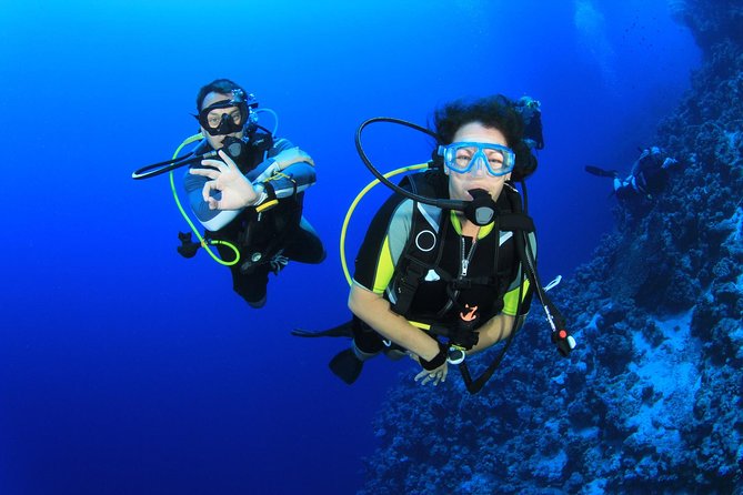 Diving for Certified Divers, 2 Tanks Sosúa Bay - Key Points You’ll Care About
