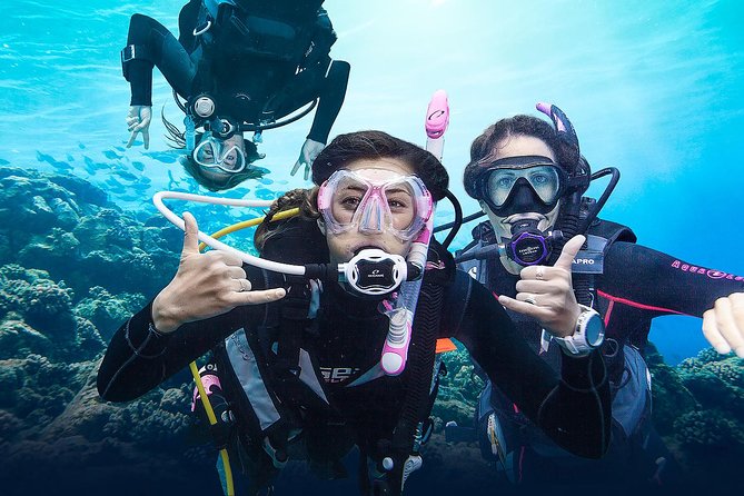 Diving for Certified Divers, 2 Tanks Sosúa Bay - Boat Elena, Captain Domingo, and the Ride Out