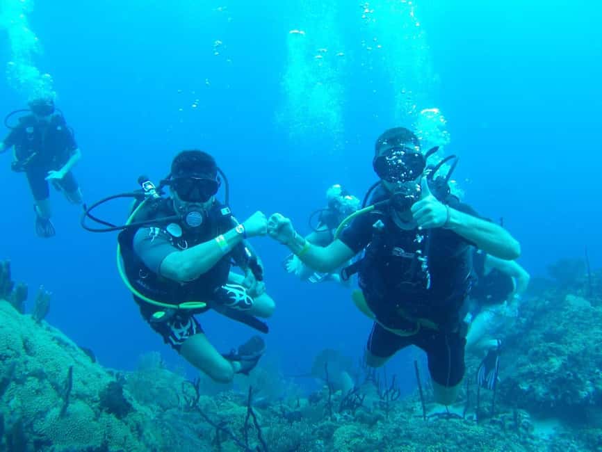 diving without a license catalina island from punta cana - Key takeaways before you go