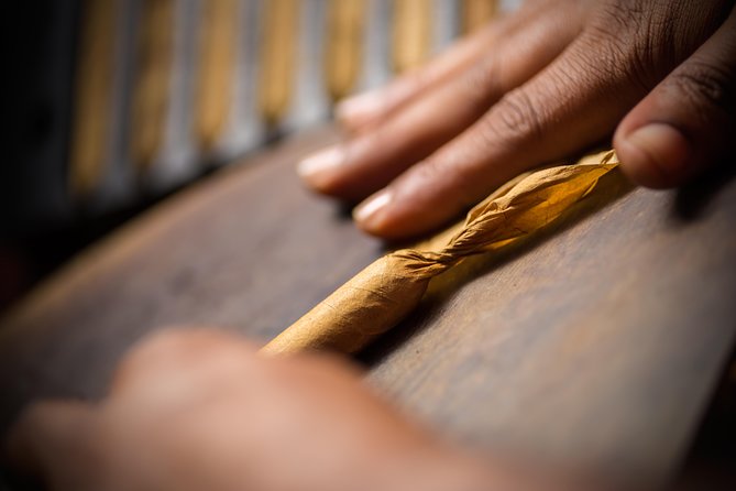 Dominican Cigar Factory Tour - Key Highlights You Should Actually Care About
