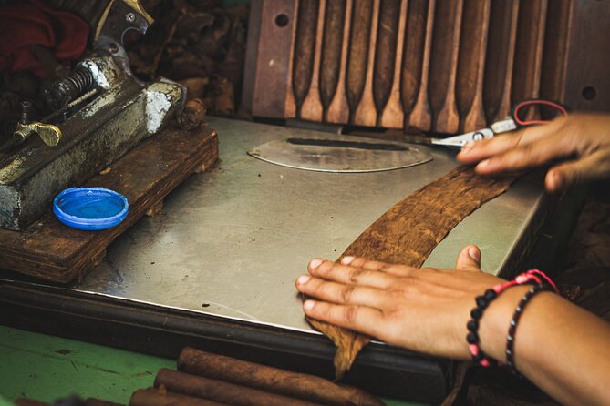 Dominican Cigar Factory Tour - The Step-by-Step Production Tour: From Seed to Fermentation