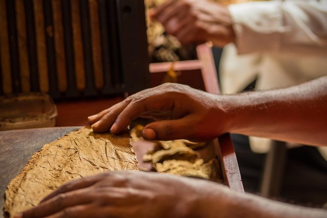 Dominican Cigar Factory Tour - Entering Vivonte: The Factory Visit and the Factory Lounge Stop