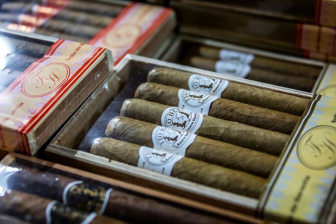 Dominican countryside, culture and beach escape with lunch - Coffee, cocoa, and sugarcane: cigar factory stop and what it means