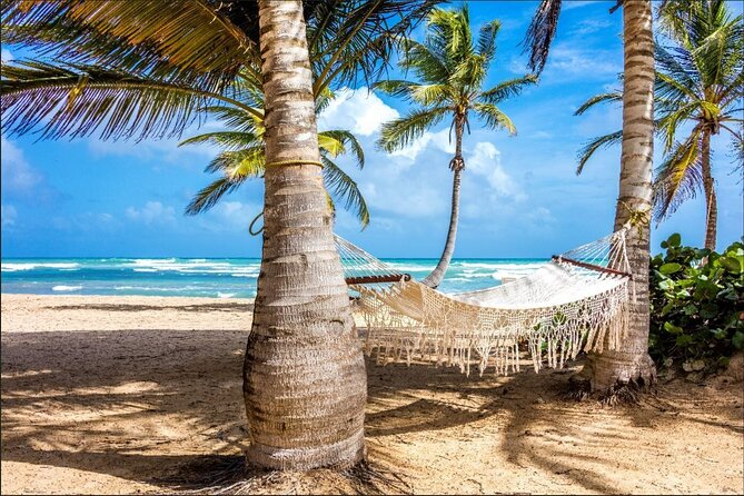 Dominican countryside, culture and beach escape with lunch - Who this tour suits best (and who should skip it)