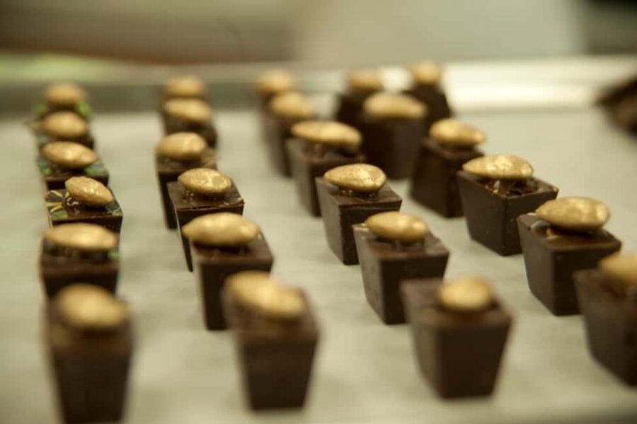 Dominican Republic: 3-Hour Chocolate Lovers Tour - A Cacao Classroom, Not a Stuffed Museum