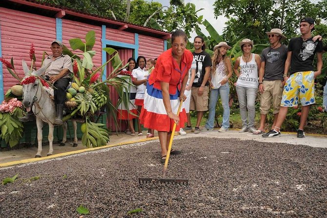 Dominican Republic Countryside Safari Tour from Punta Cana - Key takeaways before you go