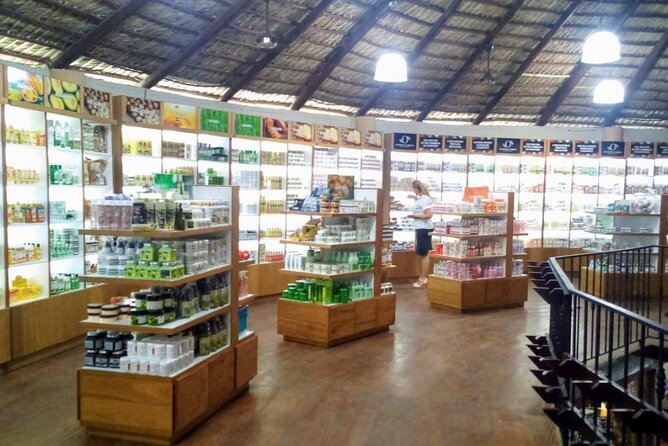 Don Lucas Cigar Factory & Store + Premium Rum Tasting (3 hours) - Pickup and logistics in Punta Cana: the smooth parts and the risks