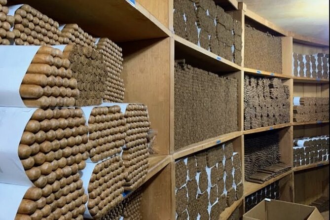 Don Lucas Cigar Factory & Store + Premium Rum Tasting (3 hours) - Timing and how the 3 hours feel once you’re there