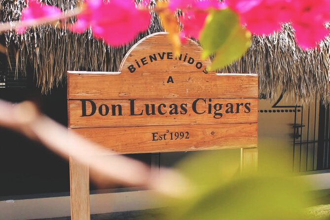Don Lucas Cigar Factory & Store + Premium Rum Tasting (3 hours) - Premium rum tasting at the rum bar: sample strategy for better value