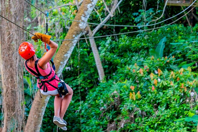 Dual Zipline Side-by-Side Adventure in Punta Cana - The course itself: 12 cables, platforms, and that long 800 m moment