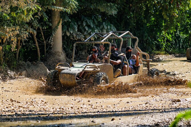 Dune Buggy Adventure at Punta Cana - Farm Tastings on the Way: Coffee, Chocolate, and Mamajuana