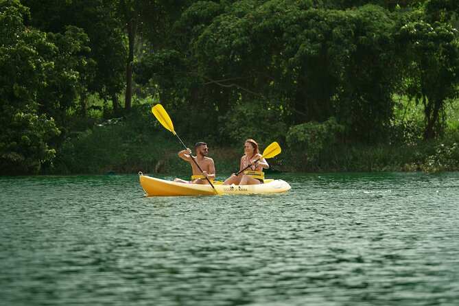 Eco Park Punta Cana by Marinarium Parks - Views, swings, and the beehive area