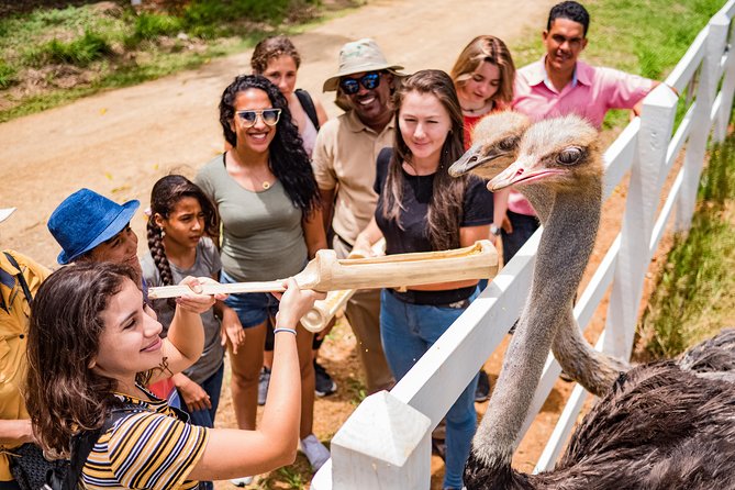 Eco Park Punta Cana by Marinarium Parks - Price and value: what $90 buys beyond the animals