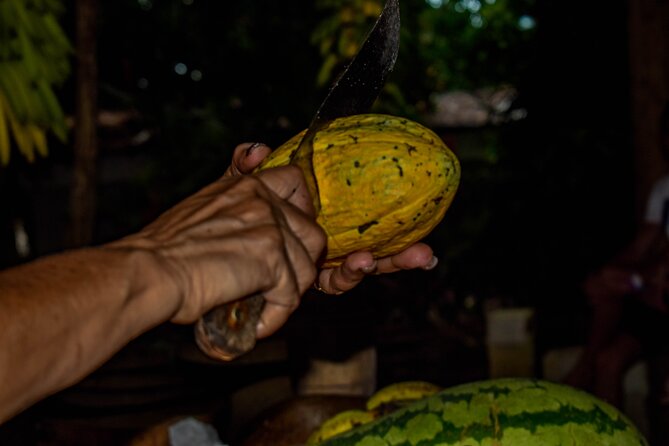 ECO TOUR Playa El Limon (Excursion Multi-activites) - The cacao farm and chocolate-making: learning without the classroom vibe