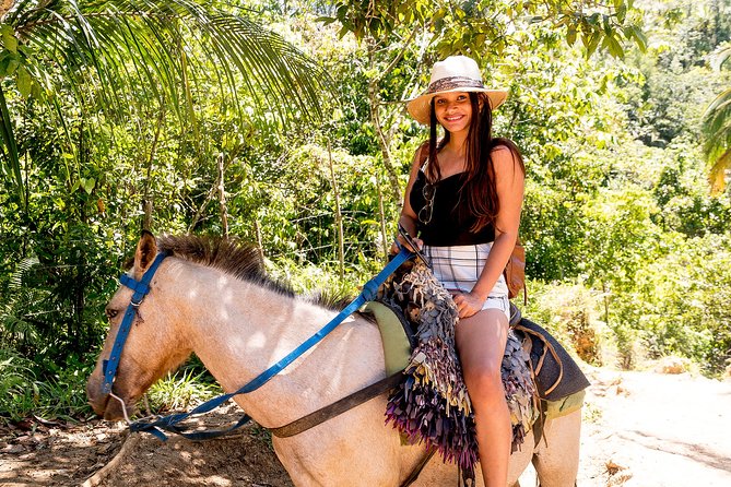 El Limon Waterfall and Bacardi Island Tour from Punta Cana with Lunch Included - El Salto del Limón: the waterfall swim and the time you actually get
