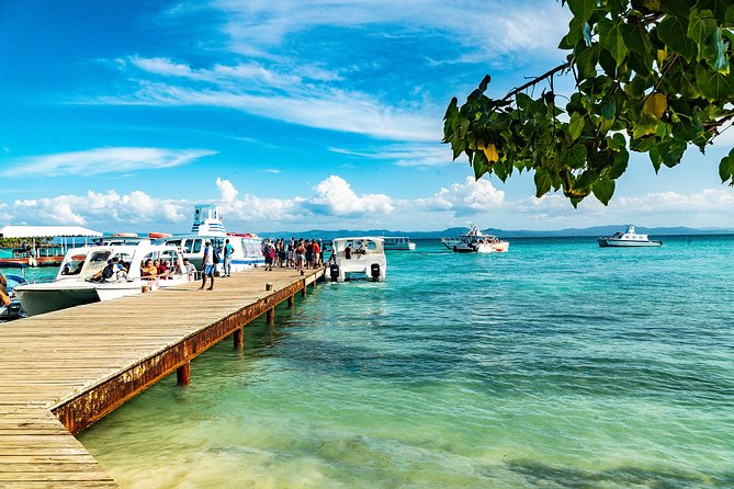 El Limon Waterfall and Bacardi Island Tour from Punta Cana with Lunch Included - Lunch at the ranch: buffet comfort, plus the drinks you get