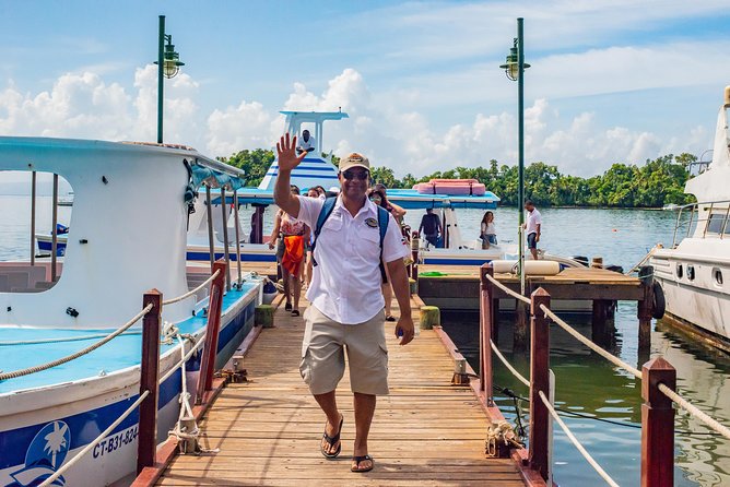El Limon Waterfall and Bacardi Island Tour from Punta Cana with Lunch Included - Catamaran to Samaná: drinks, restrooms, and possible choppy water