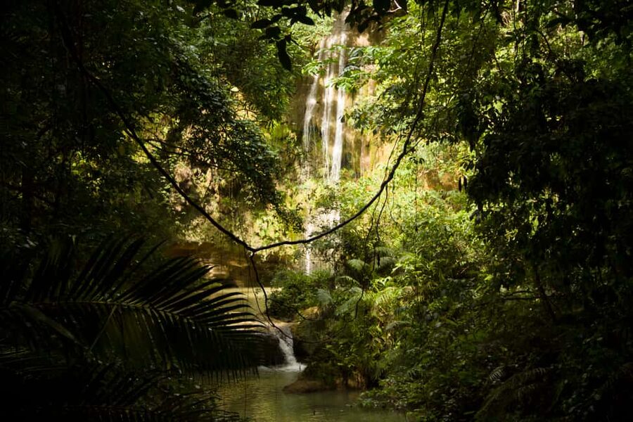 El Limón: Waterfall Hiking Tour with Lunch - The one-hour hike through subtropical forest